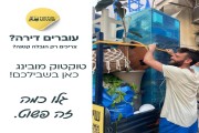 טוקטוק מובינג